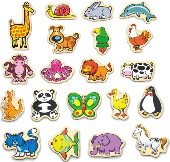 Smulkiosios motorikos lavinimas