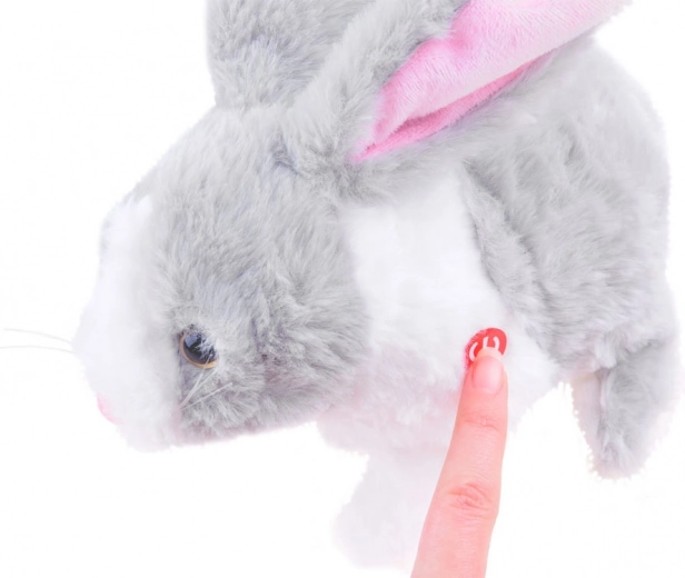 Šokinėja ir reaguoja į prisilietimą