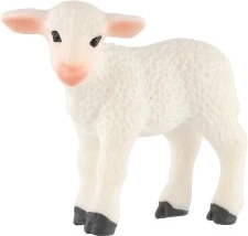 Tikroviškas dizainas