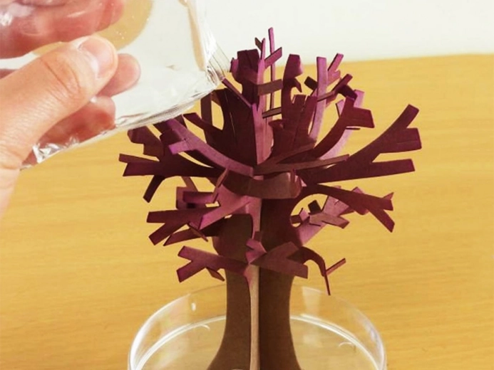 Paprasta procedūra vaikams ir suaugusiesiems