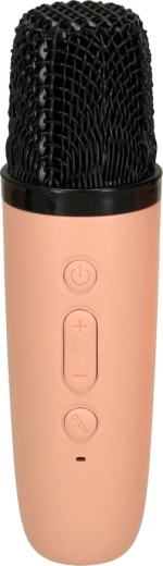 Mikrofonas su balso keitimu