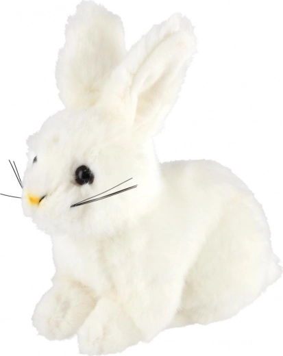 Mielos ir realistiškos detalės