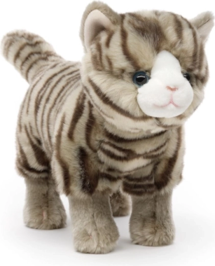 Realistic design