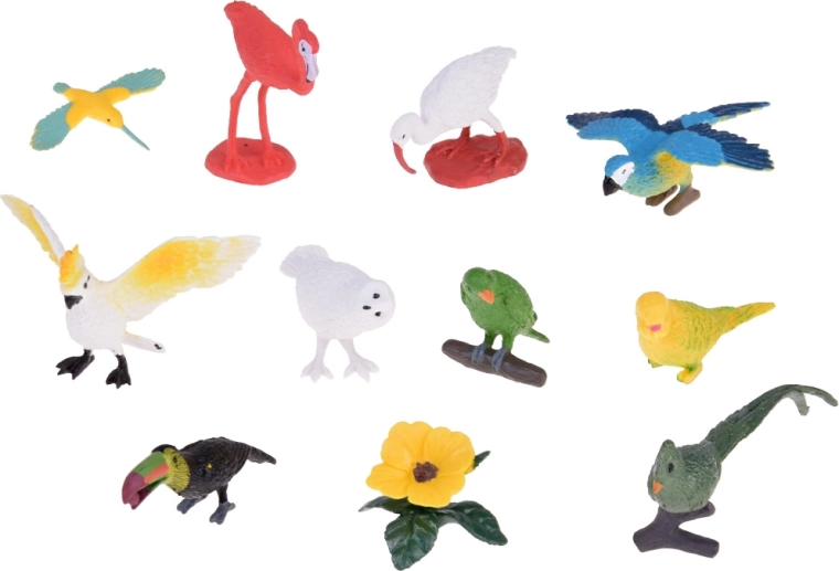 Įvairus 10 egzotinių paukščių rinkinys