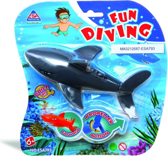 Pakuotė „Fun Diving“