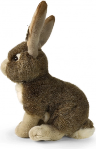 Realistiška išvaizda ir švelnus pliušas