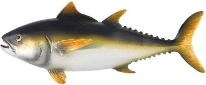 Dekoracija ir mokomasis modelis