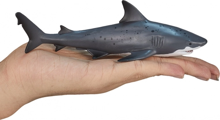 Larger size for bigger fun