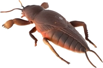 Puikiai tinka atsipalaiduoti vaikams ir suaugusiesiems