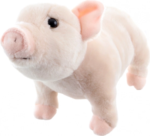 Lengvas ir idealus kelionėms