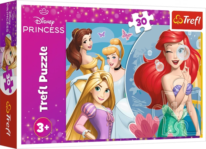 DISNEY PRINCESS princesių motyvas