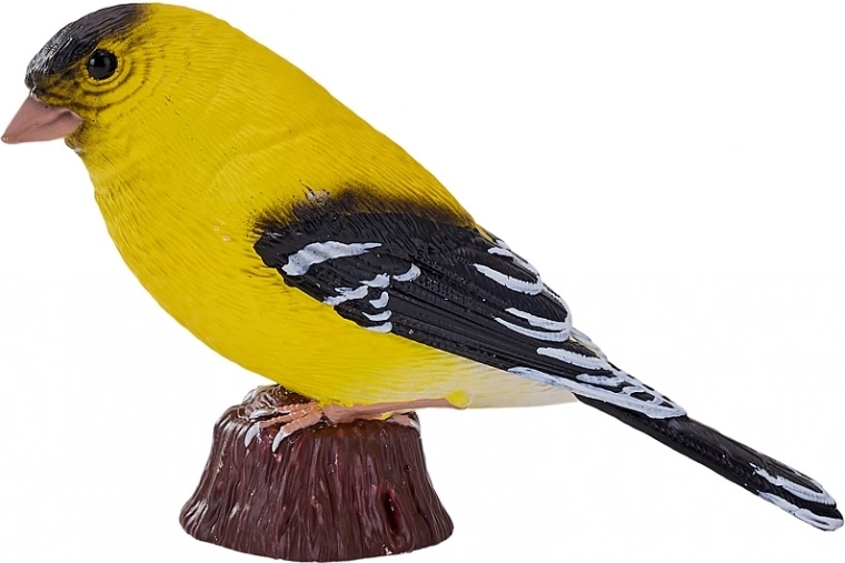 Rankomis tapytos detalės