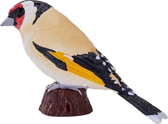 Saugus ir patvarus medžiagiškumas