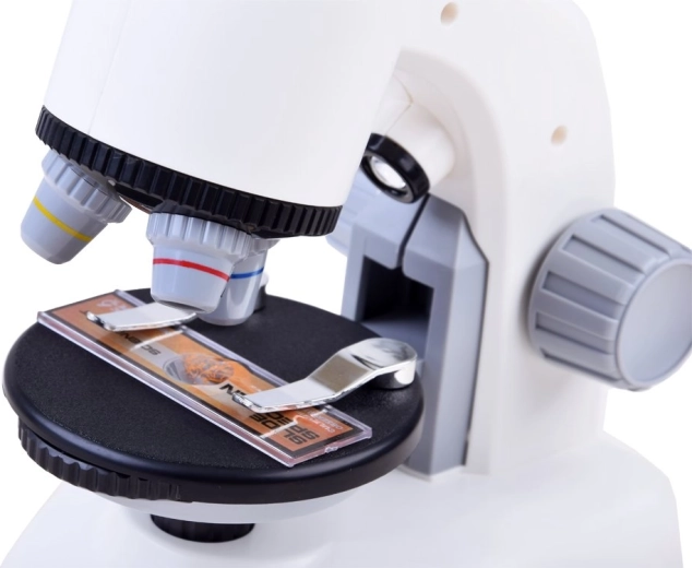 Trys didinimo lygiai aiškioms detalėms