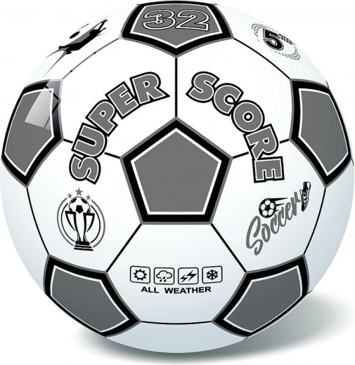 Stabilus skrydis dėl 32 panelių