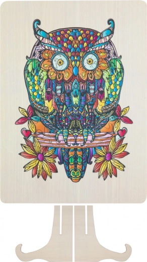 Detaliai iliustruota pelėda