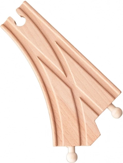 Lankstus trasos plėtimas