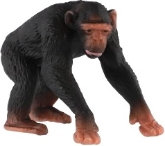 Realistiškos detalės