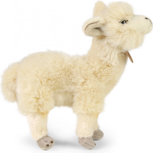 Švelnus ir kokybiškas pliušas