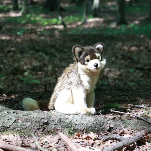 Realistiška išvaizda ir rankų darbas