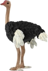 Dekoratyvinis elementas