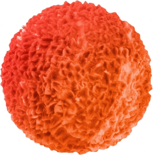 Kompaktiškas dydis delnui