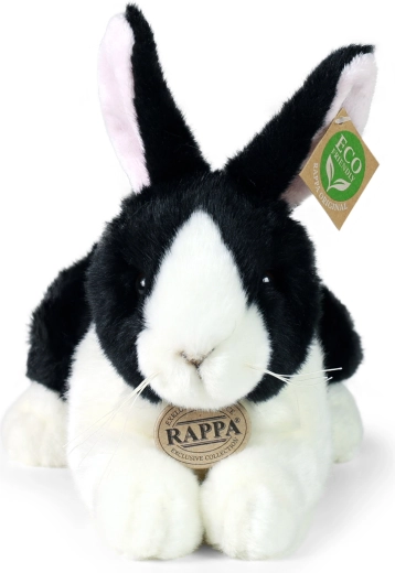 Išskirtinė RAPPA kolekcija