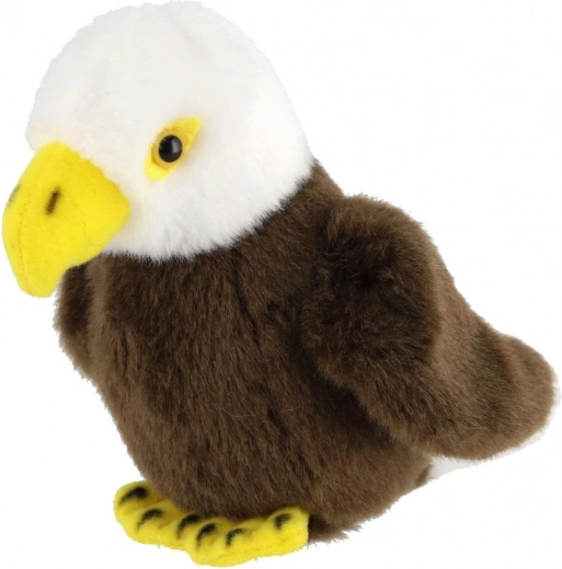 Kompaktiškas dydis 13 cm