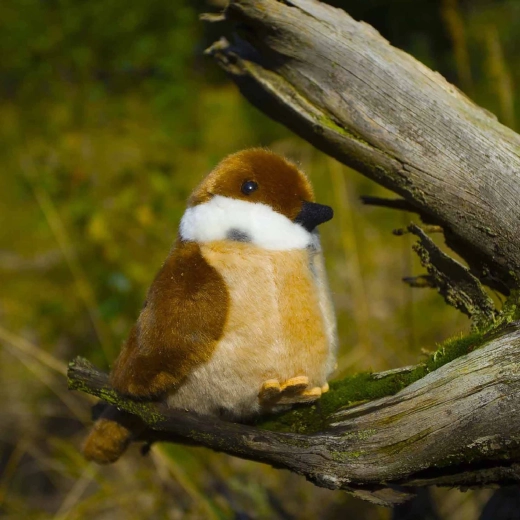 Realistiška išvaizda