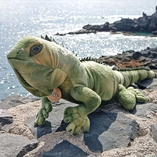 Realistiška išvaizda