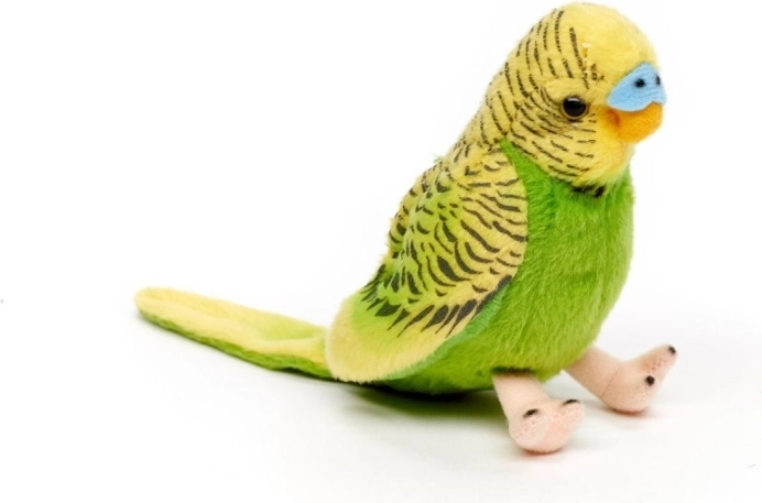 Mielas čiulbėjimas paspaudus sparną