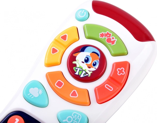 Dideli spalvoti mygtukai