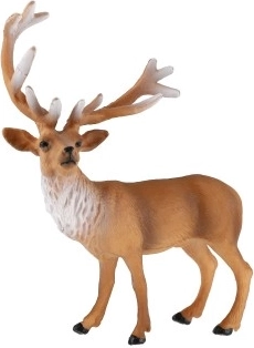 Faithful representation of the European red deer