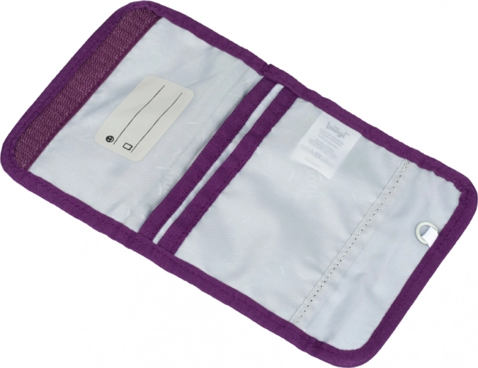 Aiški organizacija ir užtraukiama kišenė