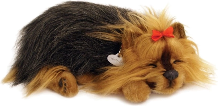 Realistiškas miegas ir švelnus knarkimas