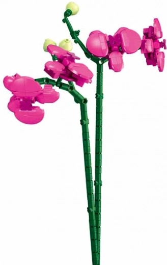 Realistiška orchidėja kaip dizaino dekoracija