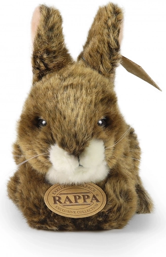 Išskirtinė RAPPA kolekcija