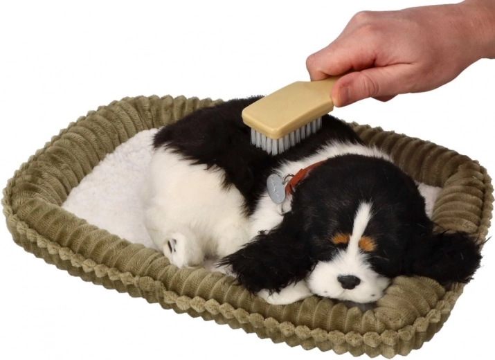 Interaktyvi patirtis