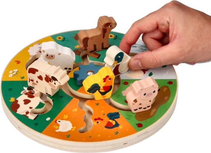 Animal Learning