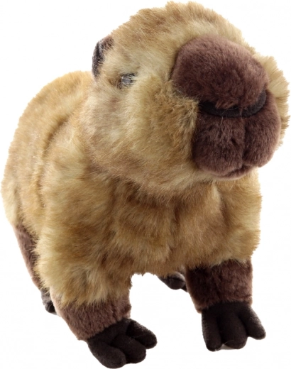 Realistiškos detalės