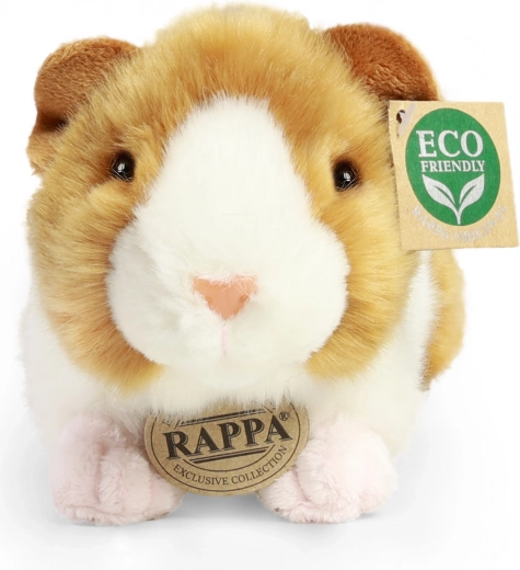 Ekologiškas užpildas