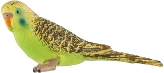 Tikroviškos spalvos ir detalės