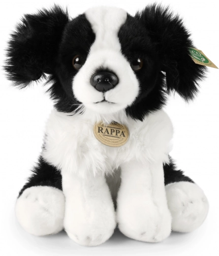 Saugus ir tinkamas nuo gimimo