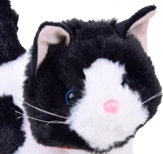 Garsai kaip tikro kačiuko