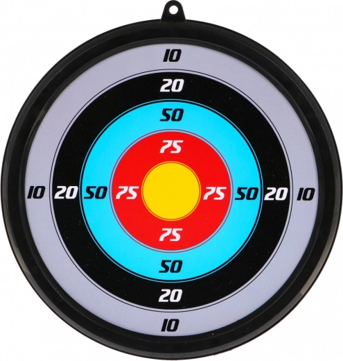 Spalvingas taikinys su taškų skale
