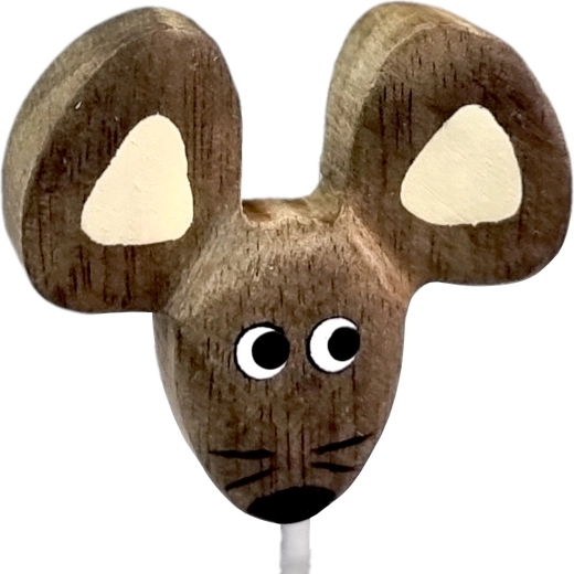 Universalus naudojimas