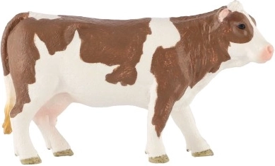 Kolekcinis eksponatas