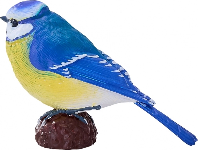 Patvari dekoracija ir kolekcinis eksponatas