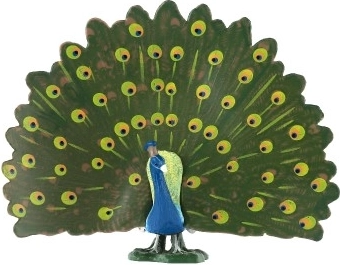 Realistiškos spalvos ir plunksnų detalės