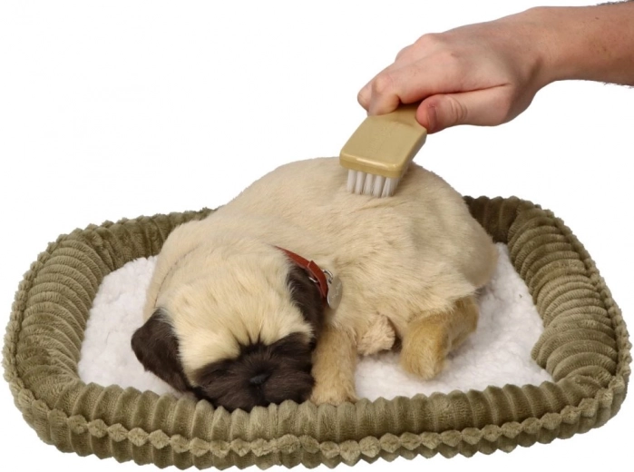 Švelnus kailiukas ir lengva priežiūra